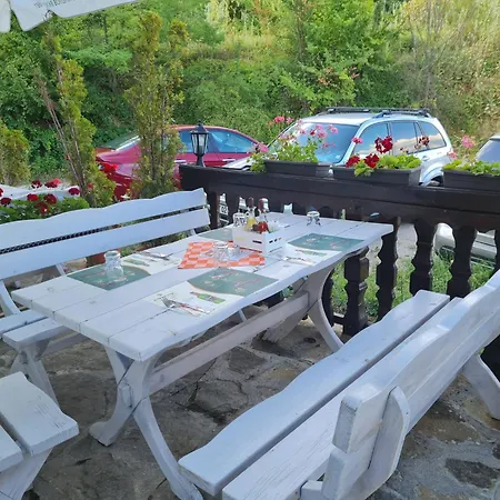 Family Bela 3* Trjavna